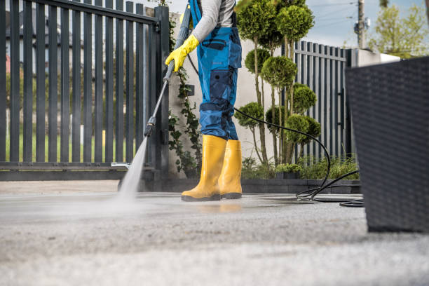 Best Local Pressure Washing Services  in Santo Domingo Pueblo, NM