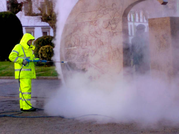 Best Roof Pressure Washing  in Santo Domingo Pueblo, NM